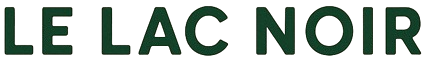 campinglelacnoir.com