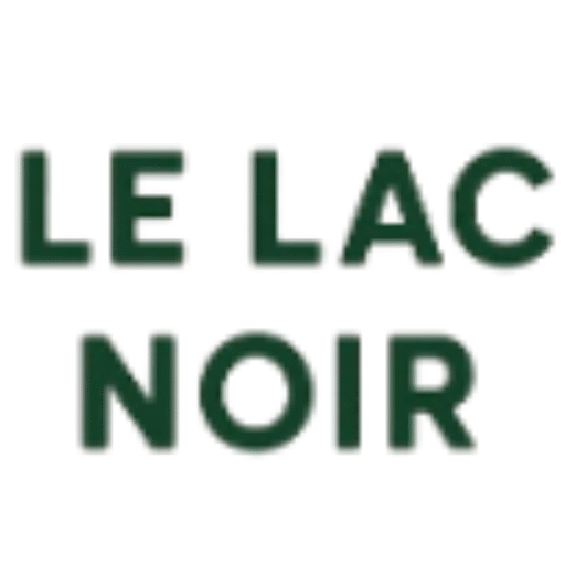 campinglelacnoir.com